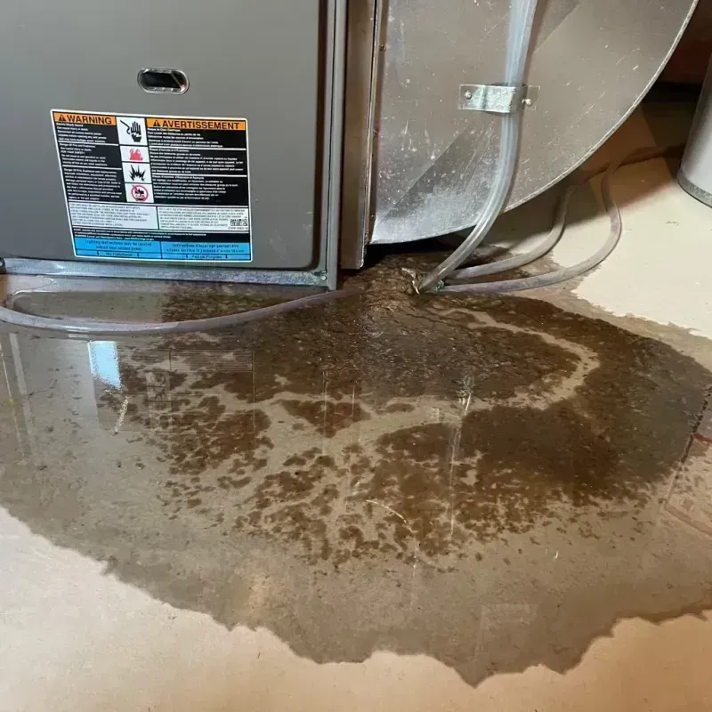 Appliance Leak Cleanup in Franklin County, MO